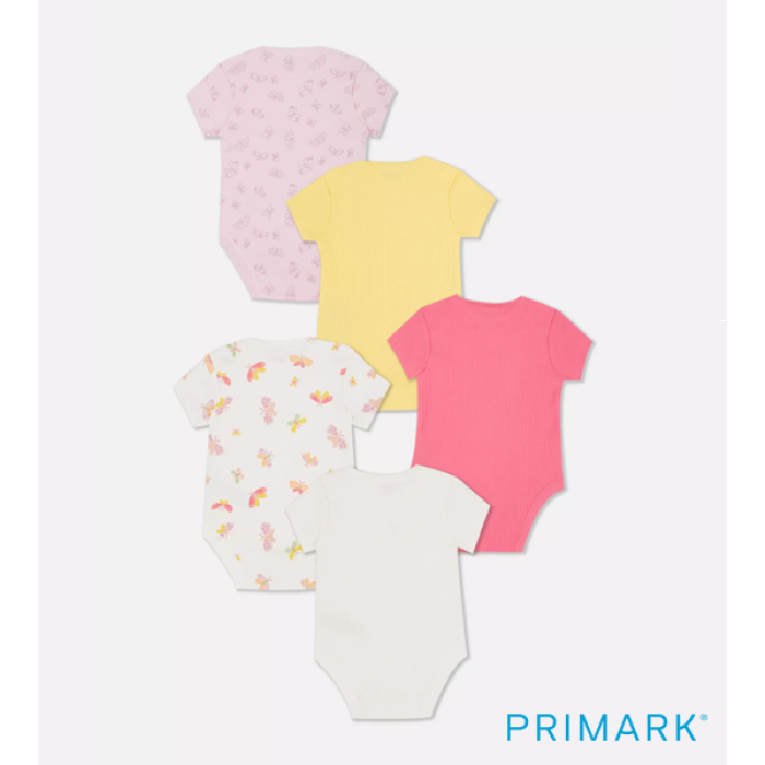   ბოდეების ნაკრები Image 2